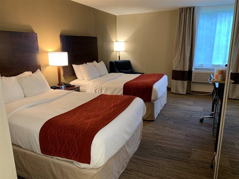 Comfort Inn & Suites East Hartford - Hartford Экстерьер фото