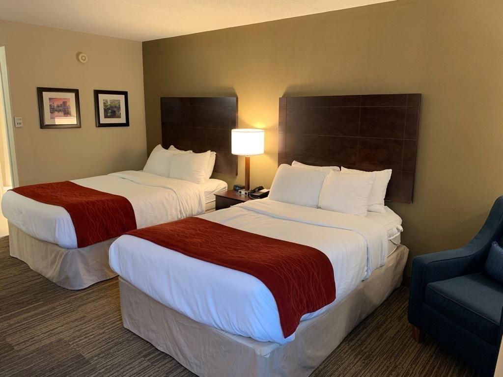 Comfort Inn & Suites East Hartford - Hartford Экстерьер фото