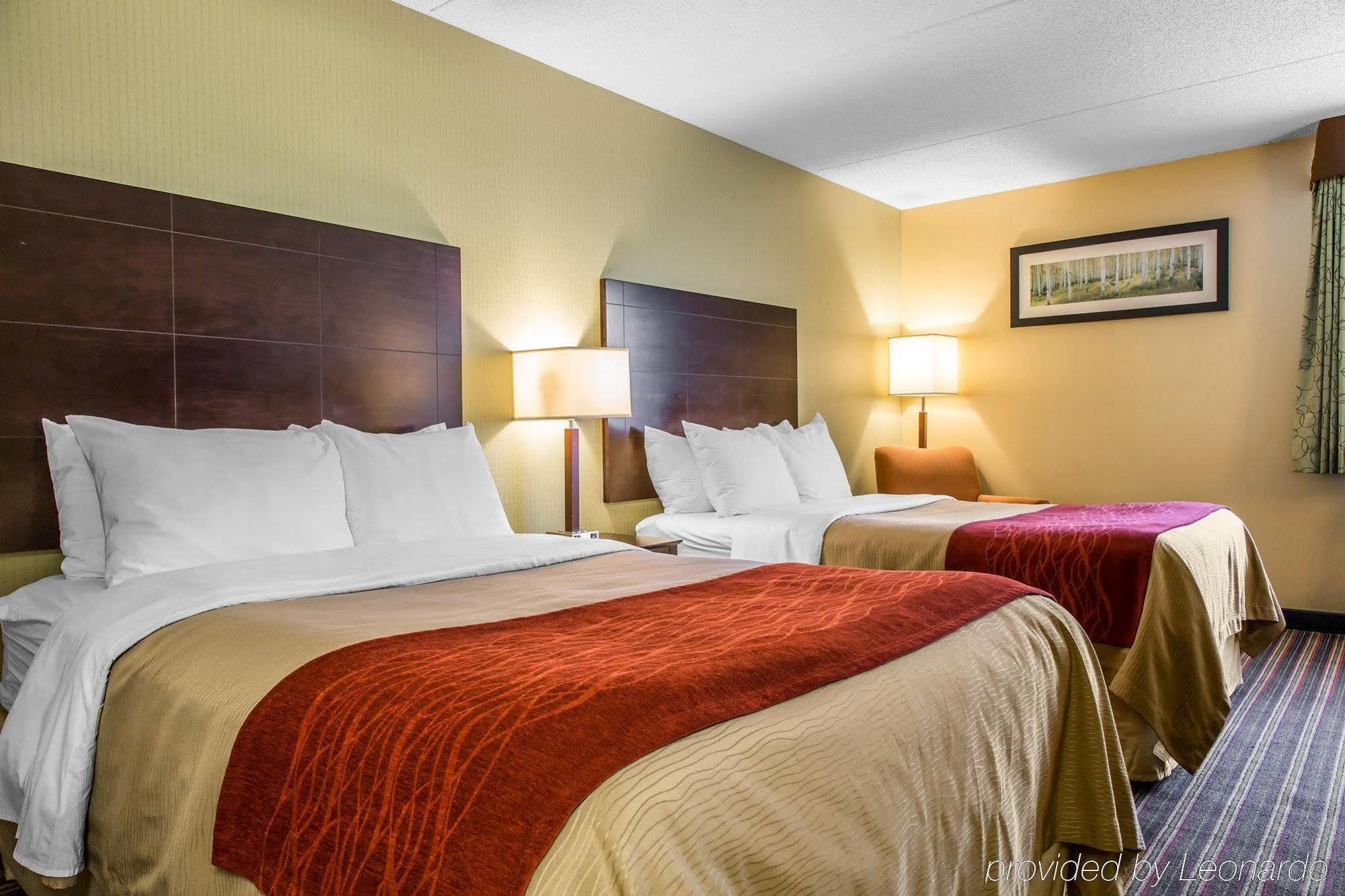 Comfort Inn & Suites East Hartford - Hartford Экстерьер фото